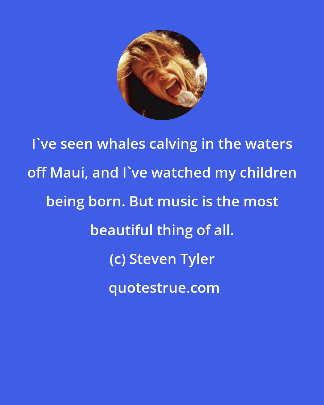 Steven Tyler: I've seen whales calving in the waters off Maui, and I've watched my children being born. But music is the most beautiful thing of all.