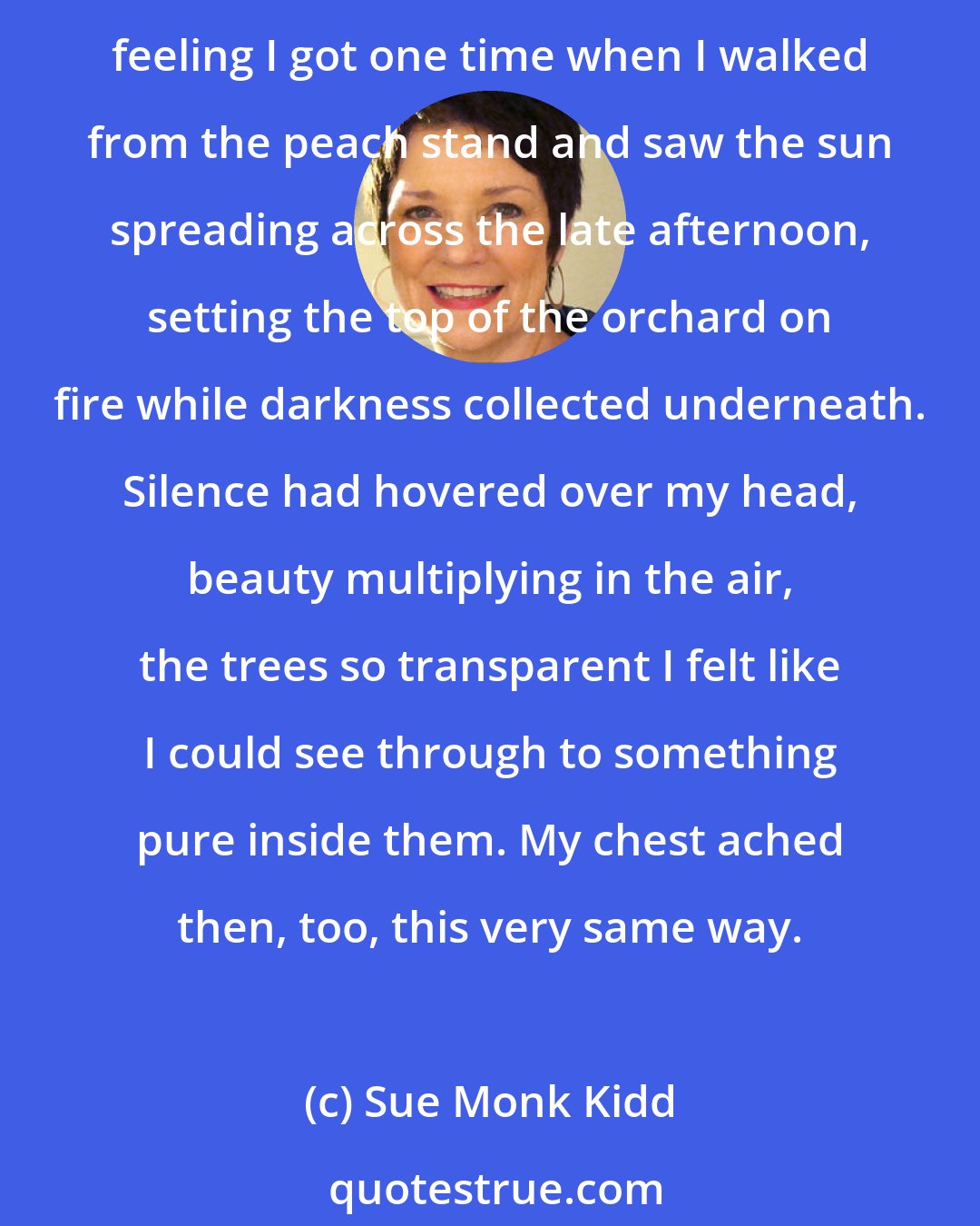 Sue Monk Kidd: I didn't know what to think, but what I felt was magnetic and so big it ached like the moon had entered my chest and filled it up. The only think I could compare it to was the feeling I got one time when I walked from the peach stand and saw the sun spreading across the late afternoon, setting the top of the orchard on fire while darkness collected underneath. Silence had hovered over my head, beauty multiplying in the air, the trees so transparent I felt like I could see through to something pure inside them. My chest ached then, too, this very same way.