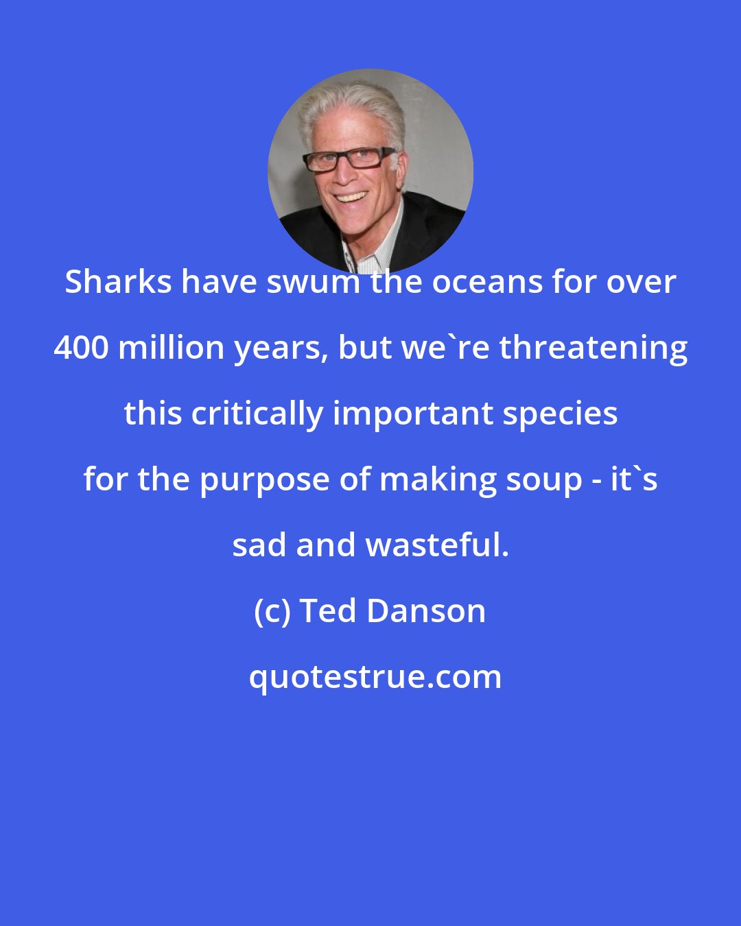 Ted Danson: Sharks have swum the oceans for over 400 million years, but we're threatening this critically important species for the purpose of making soup - it's sad and wasteful.