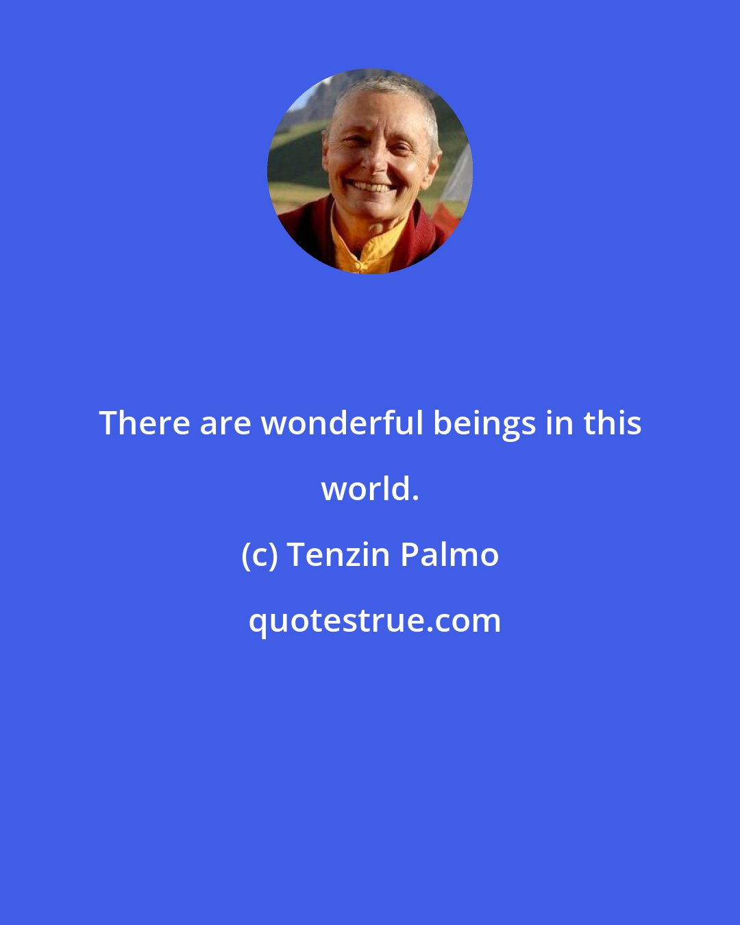 Tenzin Palmo: There are wonderful beings in this world.