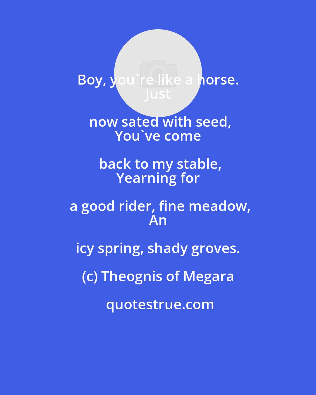 Theognis of Megara: Boy, you're like a horse. 
 Just now sated with seed,
 You've come back to my stable,
 Yearning for a good rider, fine meadow,
 An icy spring, shady groves.