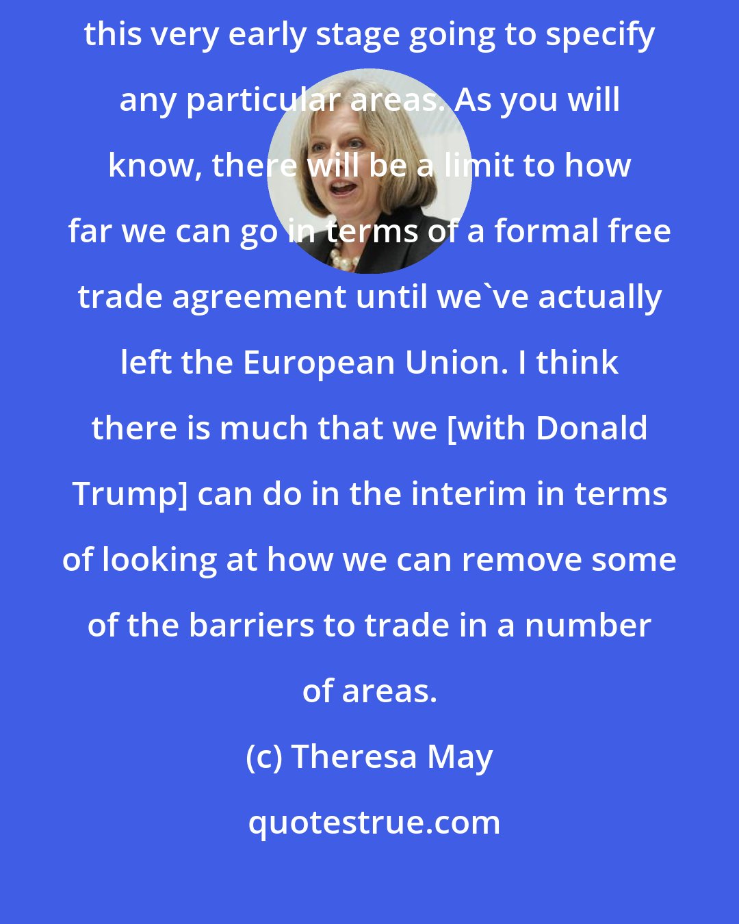 Theresa May: There's a whole range of areas that we'll be looking at, so I'm not at this very early stage going to specify any particular areas. As you will know, there will be a limit to how far we can go in terms of a formal free trade agreement until we've actually left the European Union. I think there is much that we [with Donald Trump] can do in the interim in terms of looking at how we can remove some of the barriers to trade in a number of areas.