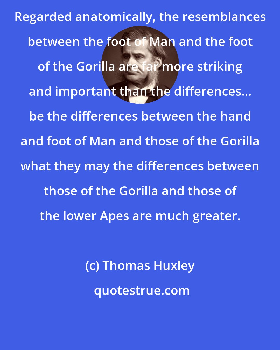 Thomas Huxley: Regarded anatomically, the resemblances between the foot of Man and the foot of the Gorilla are far more striking and important than the differences... be the differences between the hand and foot of Man and those of the Gorilla what they may the differences between those of the Gorilla and those of the lower Apes are much greater.