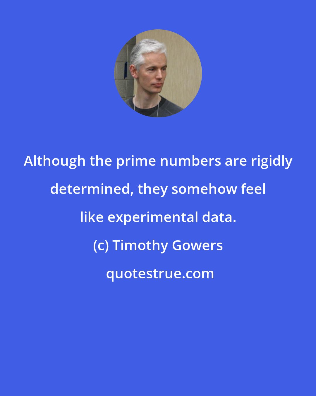 Timothy Gowers: Although the prime numbers are rigidly determined, they somehow feel like experimental data.