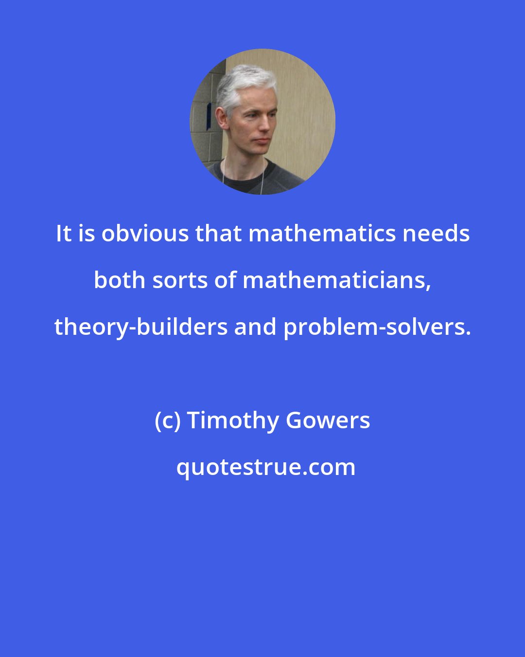 Timothy Gowers: It is obvious that mathematics needs both sorts of mathematicians, theory-builders and problem-solvers.