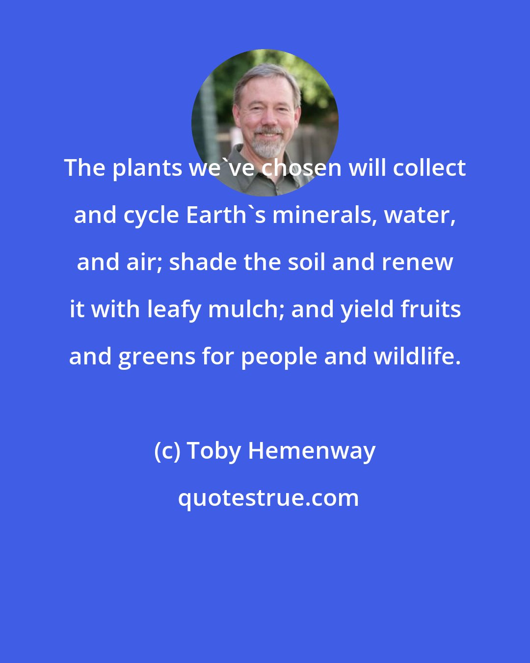 Toby Hemenway: The plants we've chosen will collect and cycle Earth's minerals, water, and air; shade the soil and renew it with leafy mulch; and yield fruits and greens for people and wildlife.