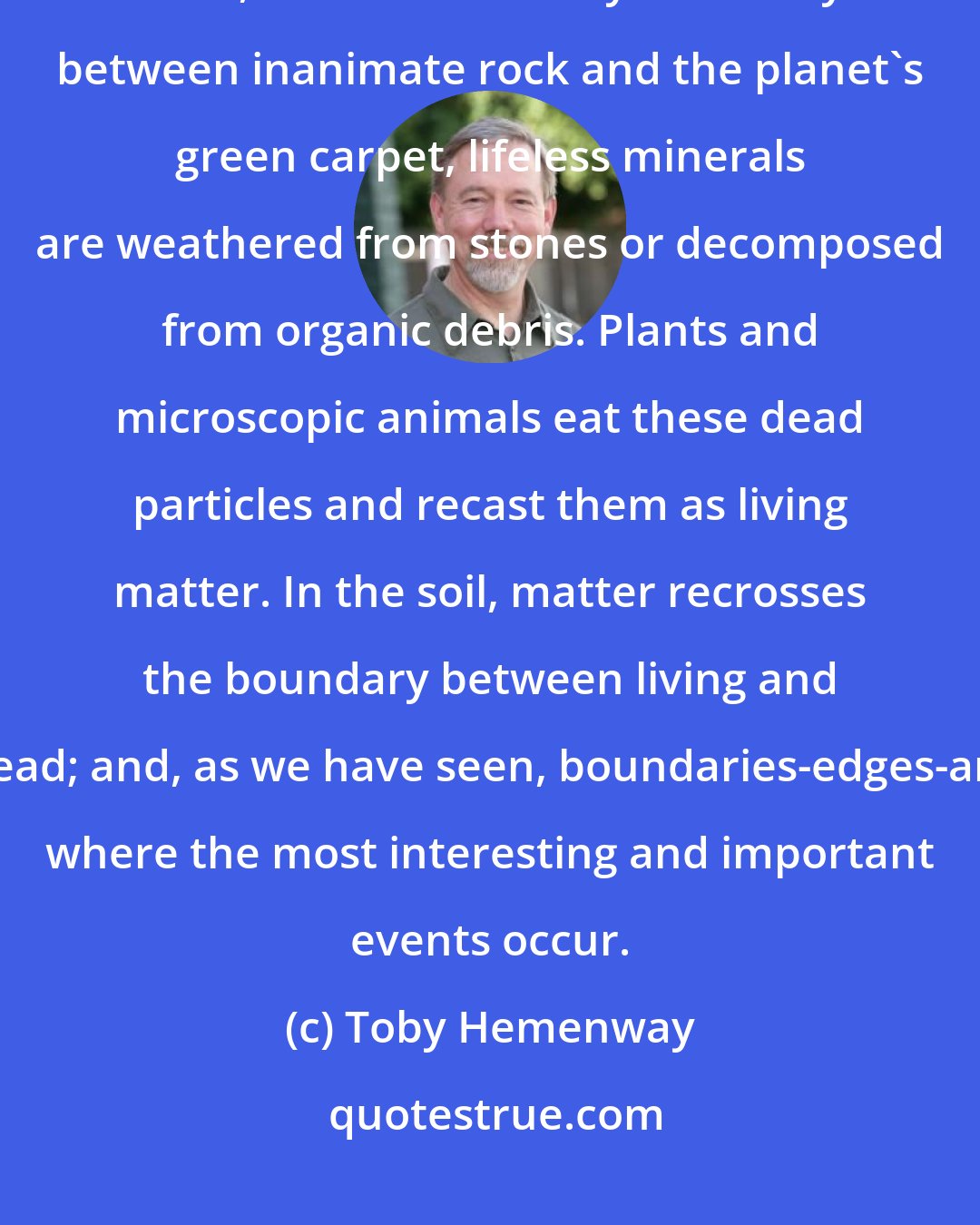 Toby Hemenway: Yet soil is miraculous. It is where the dead are brought back to life. Here, in the thin earthy boundary between inanimate rock and the planet's green carpet, lifeless minerals are weathered from stones or decomposed from organic debris. Plants and microscopic animals eat these dead particles and recast them as living matter. In the soil, matter recrosses the boundary between living and dead; and, as we have seen, boundaries-edges-are where the most interesting and important events occur.