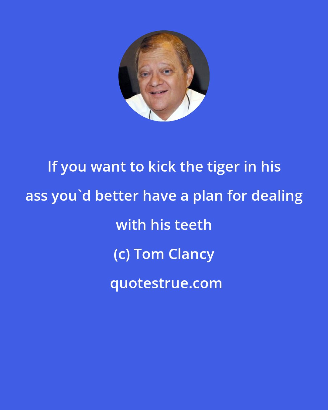 Tom Clancy: If you want to kick the tiger in his ass you'd better have a plan for dealing with his teeth