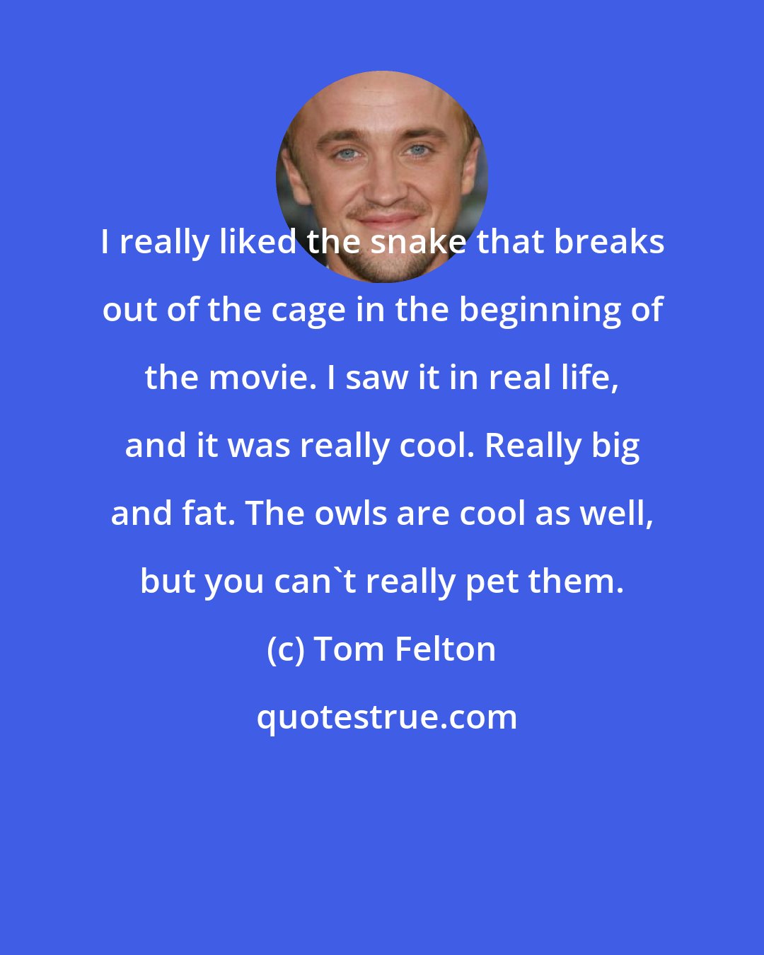 Tom Felton: I really liked the snake that breaks out of the cage in the beginning of the movie. I saw it in real life, and it was really cool. Really big and fat. The owls are cool as well, but you can't really pet them.