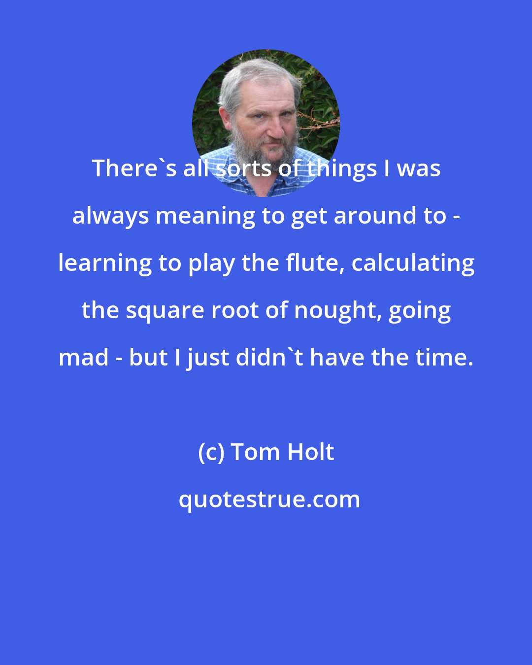 Tom Holt: There's all sorts of things I was always meaning to get around to - learning to play the flute, calculating the square root of nought, going mad - but I just didn't have the time.