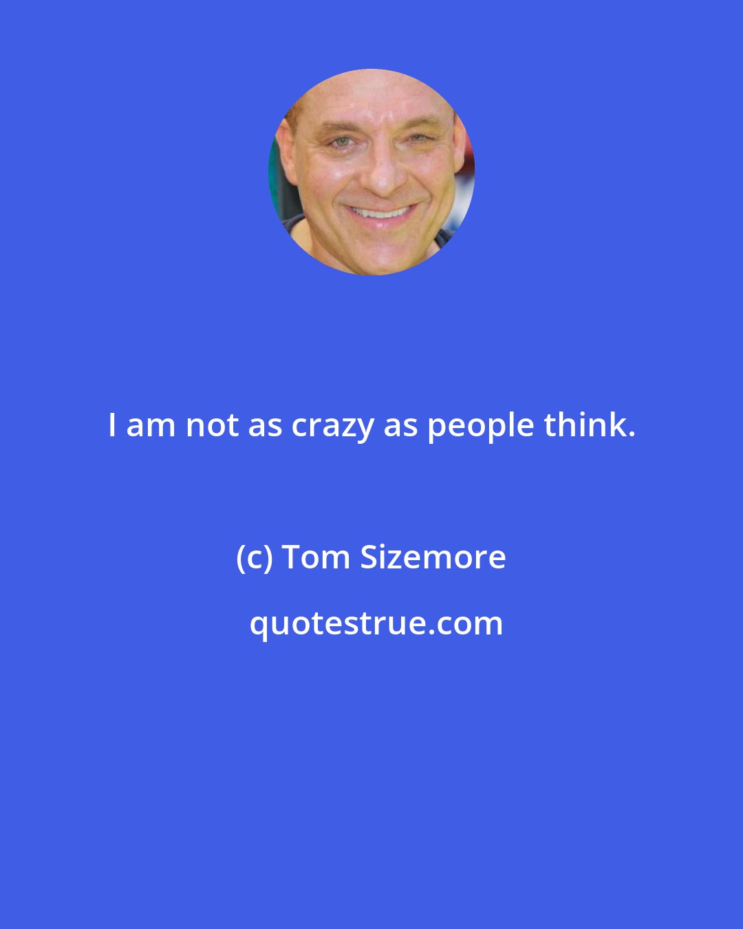 Tom Sizemore: I am not as crazy as people think.