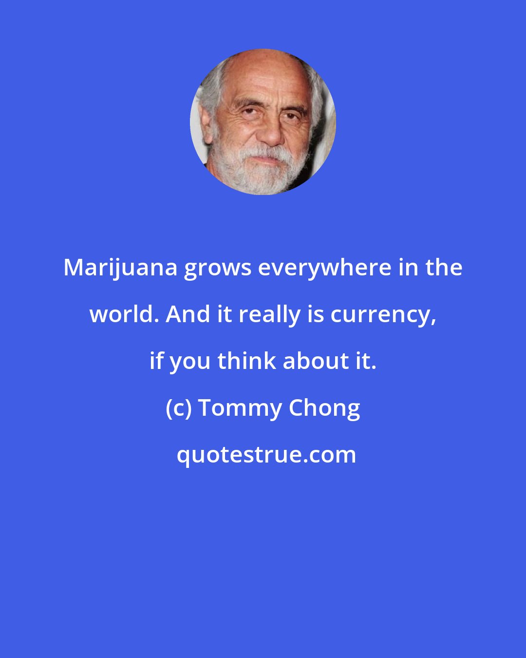 Tommy Chong: Marijuana grows everywhere in the world. And it really is currency, if you think about it.