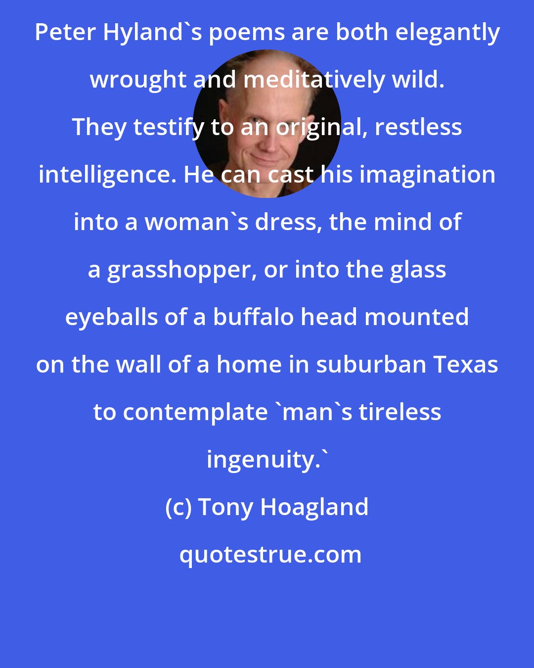 Tony Hoagland: Peter Hyland's poems are both elegantly wrought and meditatively wild. They testify to an original, restless intelligence. He can cast his imagination into a woman's dress, the mind of a grasshopper, or into the glass eyeballs of a buffalo head mounted on the wall of a home in suburban Texas to contemplate 'man's tireless ingenuity.'