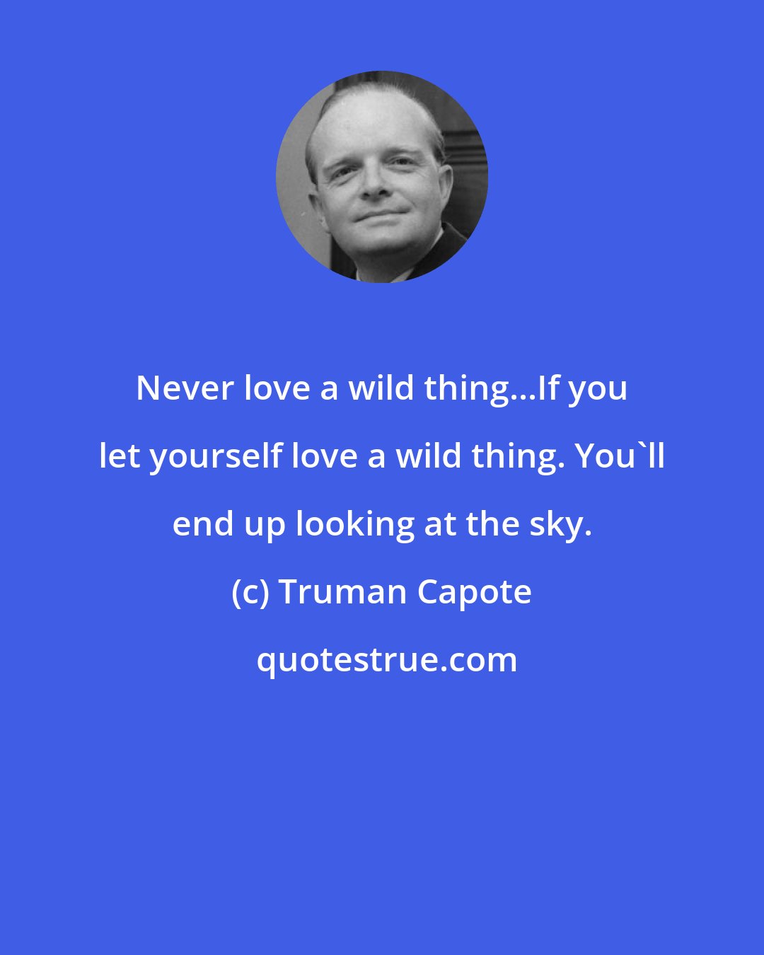 Truman Capote: Never love a wild thing...If you let yourself love a wild thing. You'll end up looking at the sky.