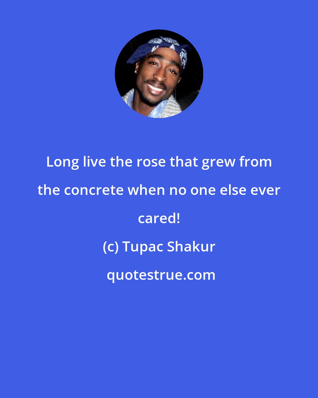 Tupac Shakur: Long live the rose that grew from the concrete when no one else ever cared!