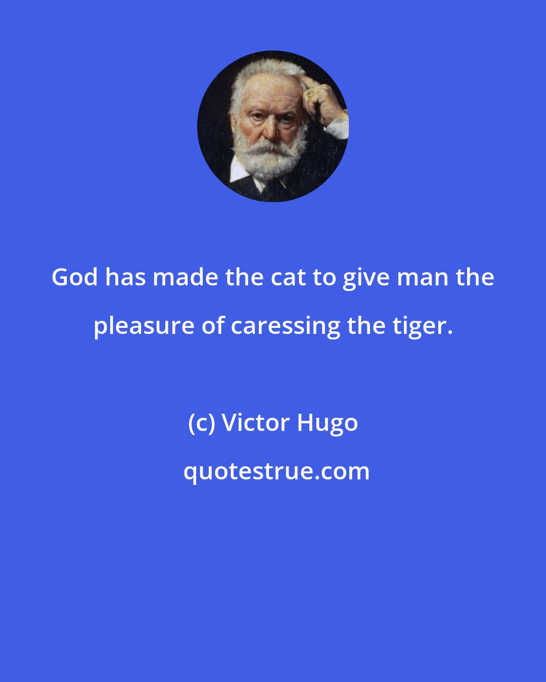 Victor Hugo: God has made the cat to give man the pleasure of caressing the tiger.