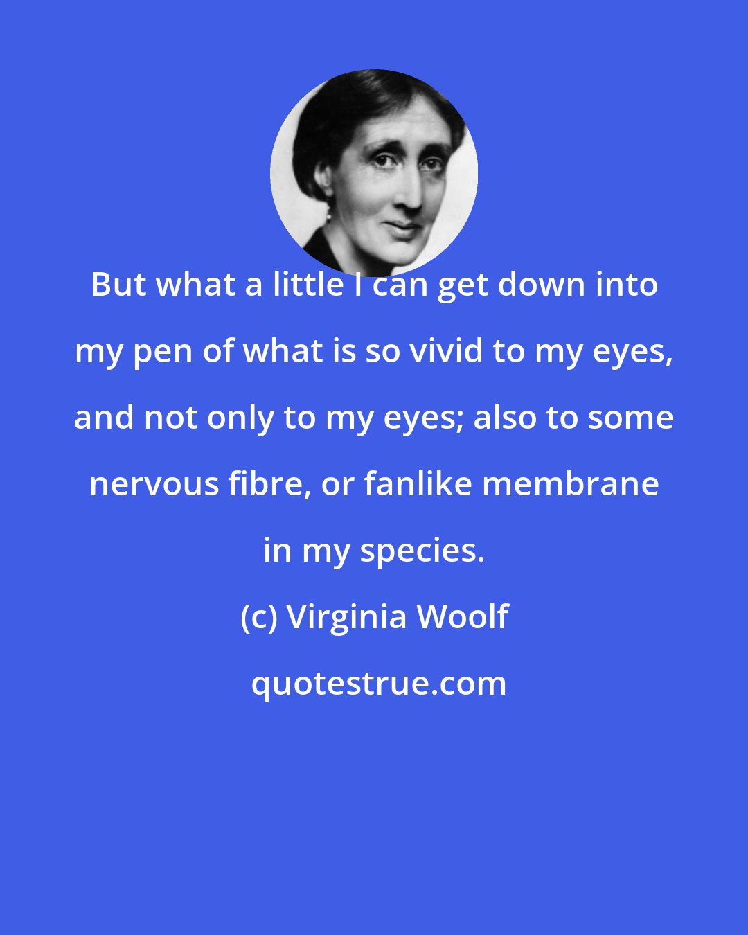 Virginia Woolf: But what a little I can get down into my pen of what is so vivid to my eyes, and not only to my eyes; also to some nervous fibre, or fanlike membrane in my species.