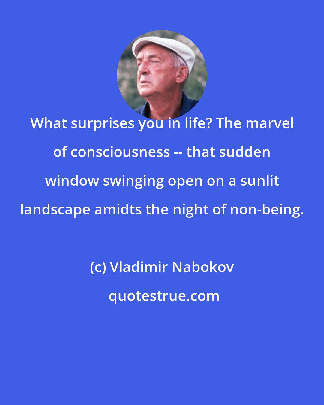 Vladimir Nabokov: What surprises you in life? The marvel of consciousness -- that sudden window swinging open on a sunlit landscape amidts the night of non-being.