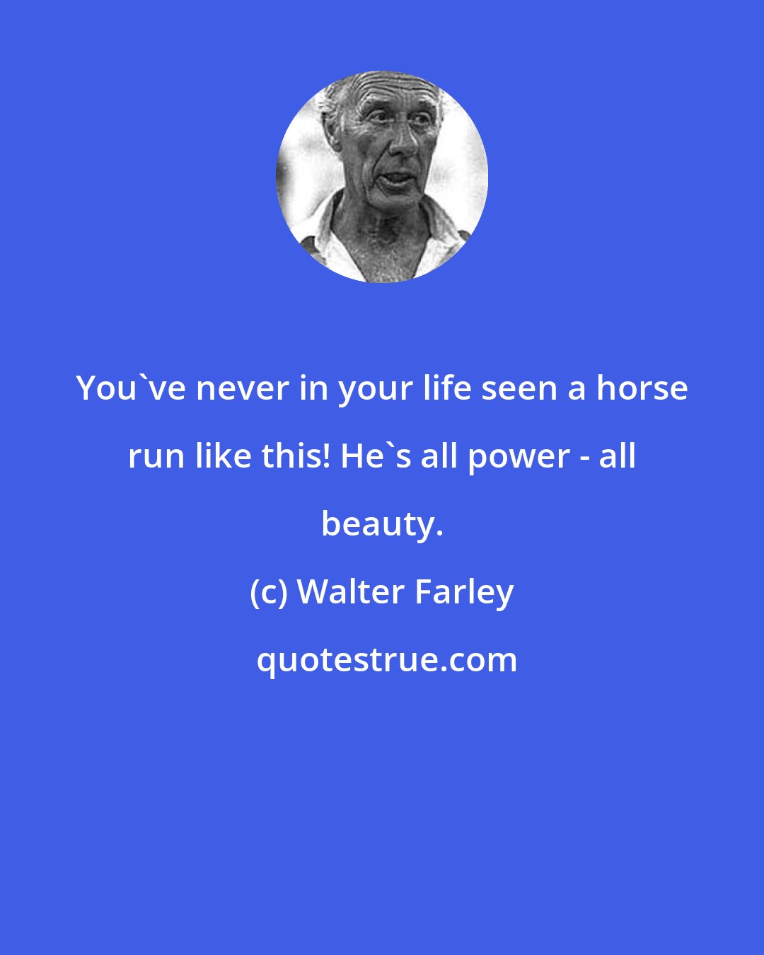 Walter Farley: You've never in your life seen a horse run like this! He's all power - all beauty.