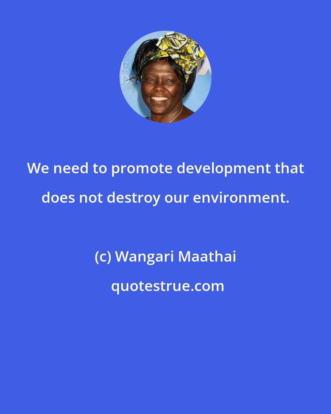 Wangari Maathai: We need to promote development that does not destroy our environment.