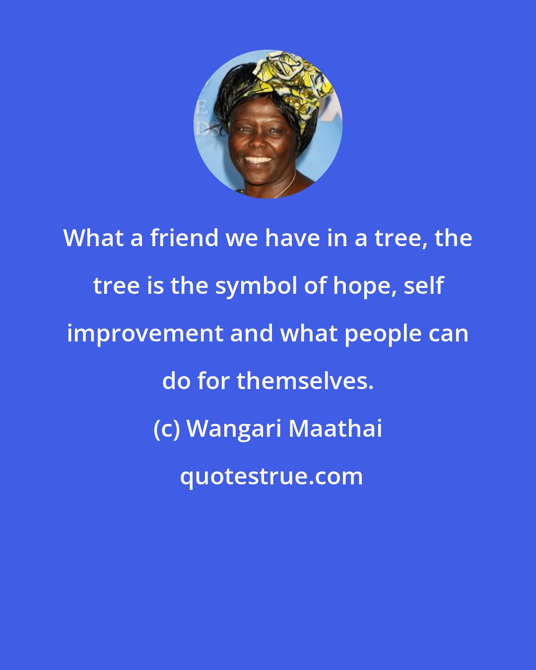 Wangari Maathai: What a friend we have in a tree, the tree is the symbol of hope, self improvement and what people can do for themselves.