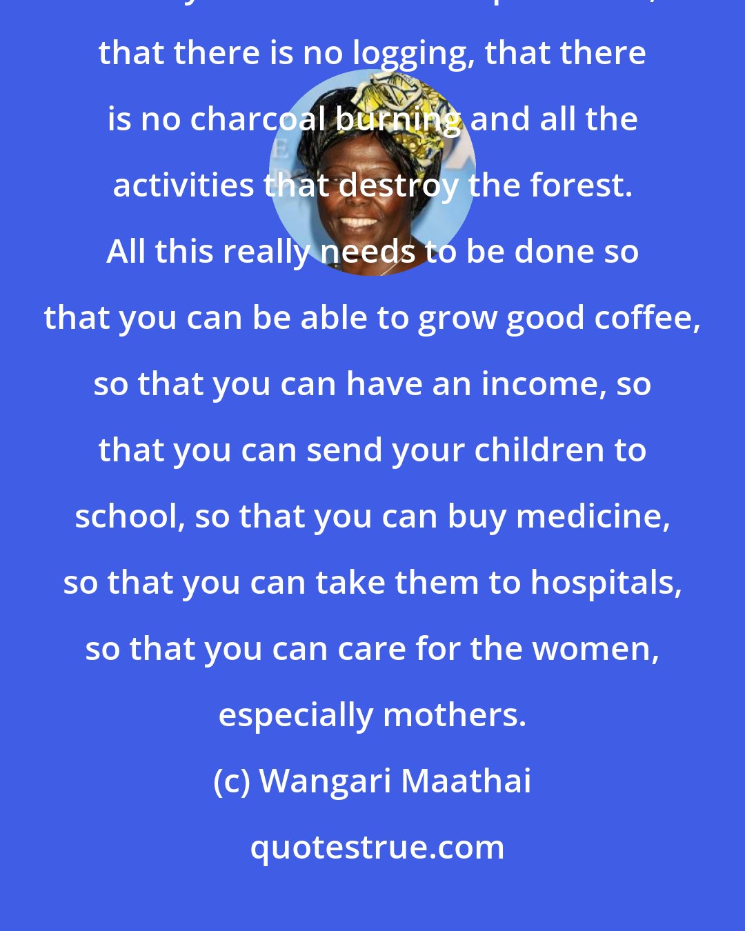 Wangari Maathai: For the rains and the rivers you need forests and you need to make sure these your forests are all protected, that there is no logging, that there is no charcoal burning and all the activities that destroy the forest. All this really needs to be done so that you can be able to grow good coffee, so that you can have an income, so that you can send your children to school, so that you can buy medicine, so that you can take them to hospitals, so that you can care for the women, especially mothers.