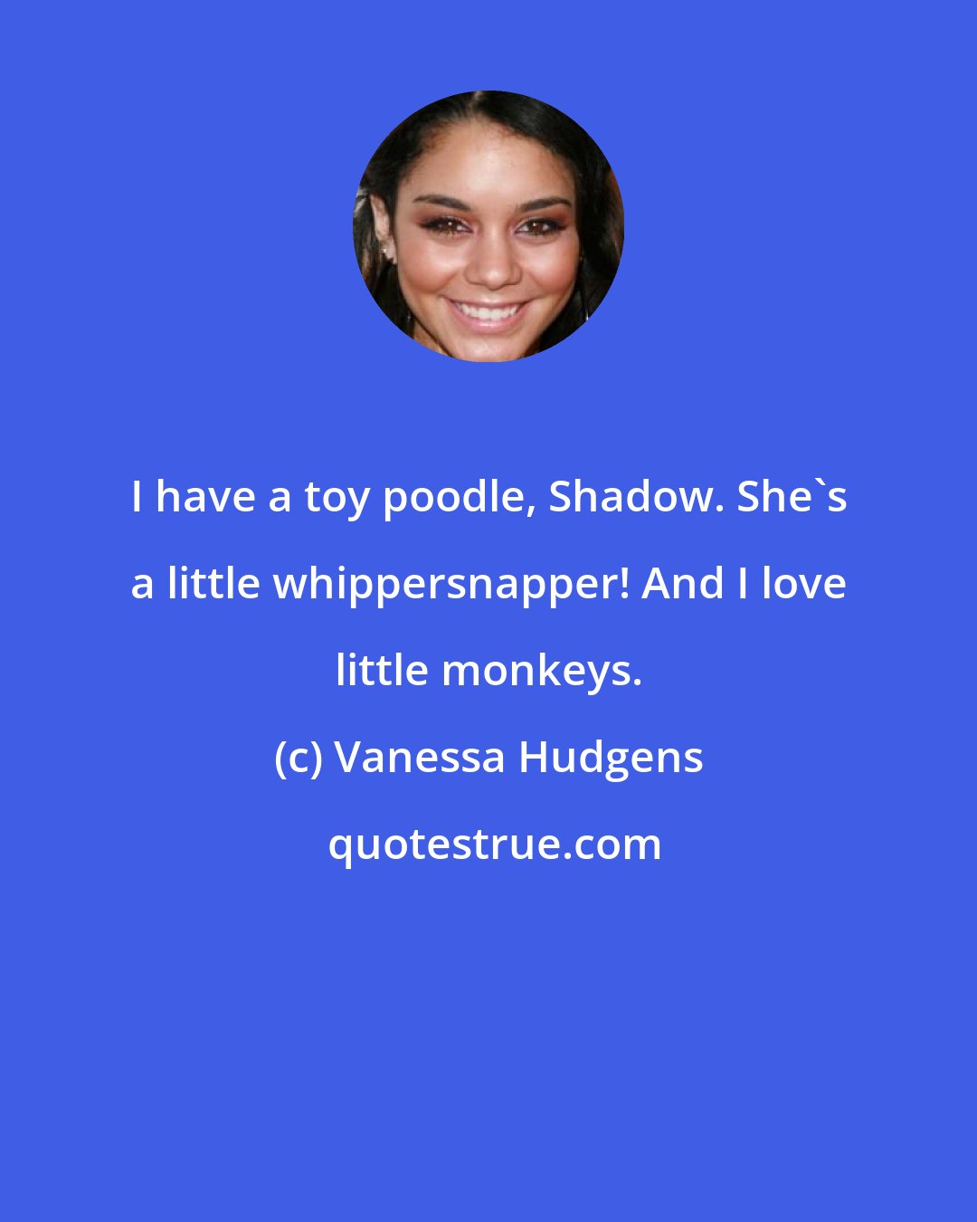 Vanessa Hudgens: I have a toy poodle, Shadow. She's a little whippersnapper! And I love little monkeys.
