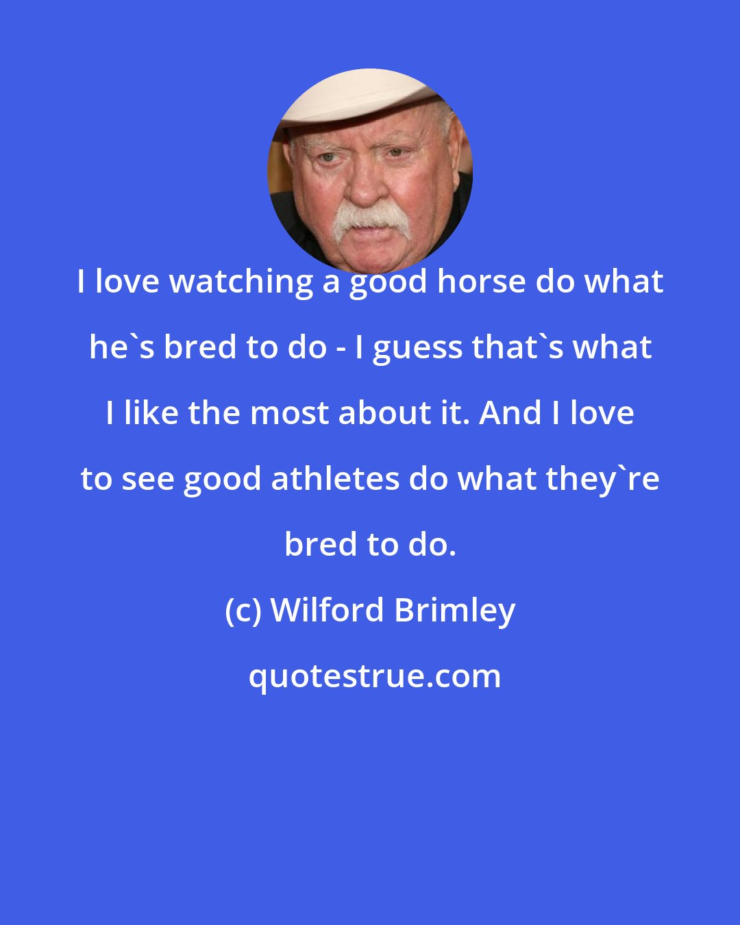 Wilford Brimley: I love watching a good horse do what he's bred to do - I guess that's what I like the most about it. And I love to see good athletes do what they're bred to do.