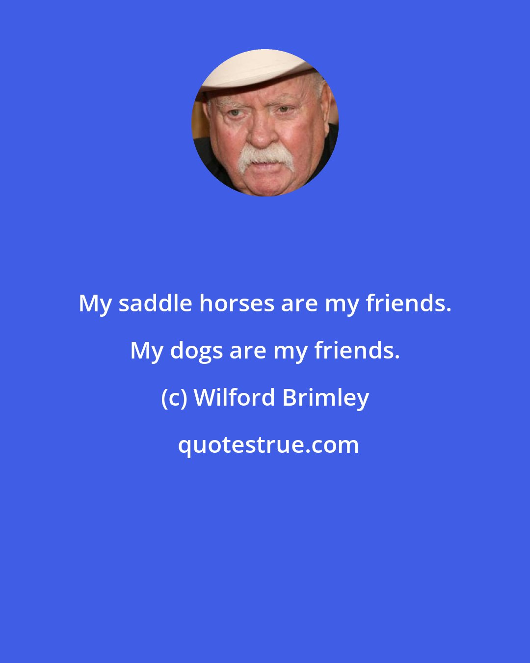 Wilford Brimley: My saddle horses are my friends. My dogs are my friends.