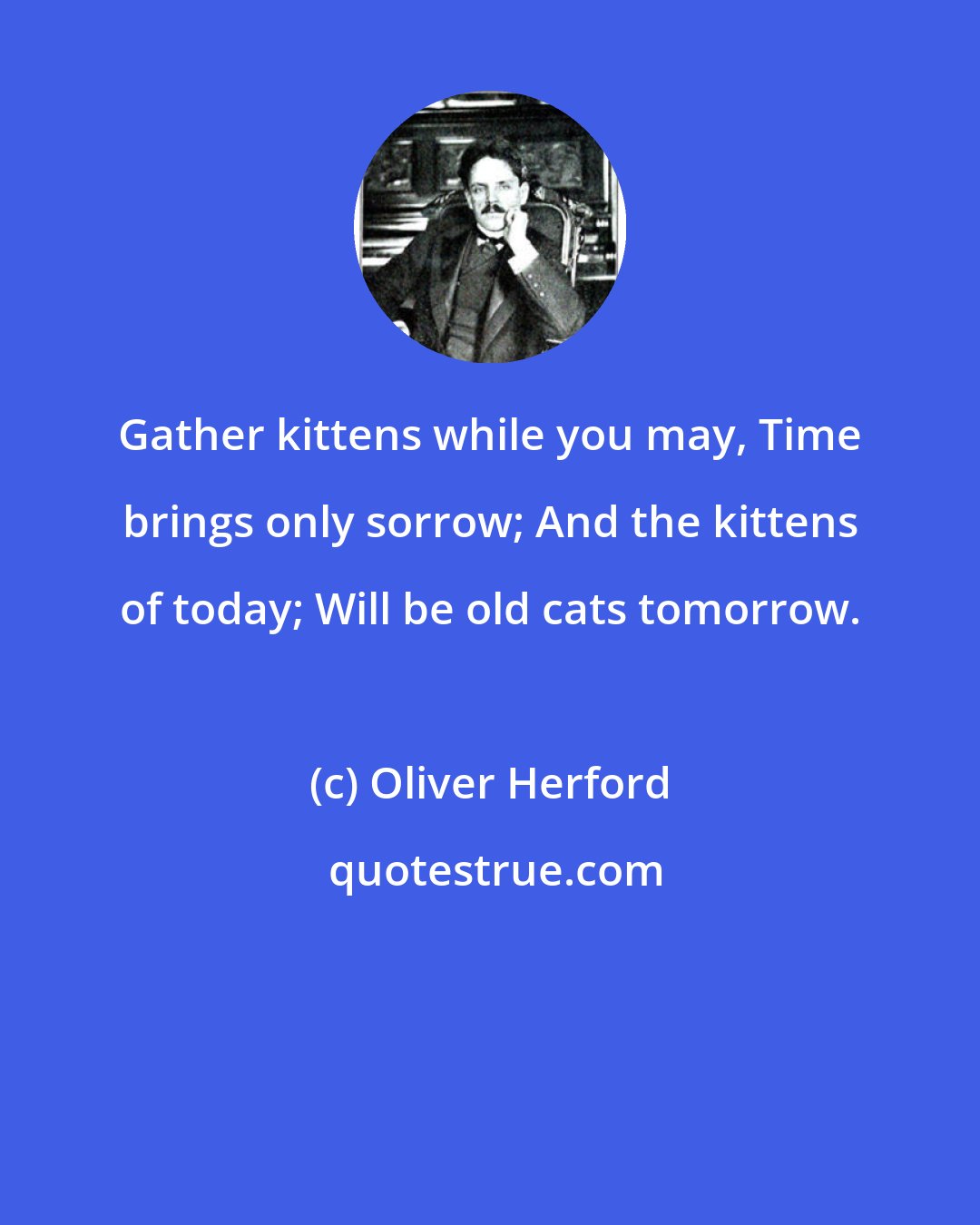 Oliver Herford: Gather kittens while you may, Time brings only sorrow; And the kittens of today; Will be old cats tomorrow.
