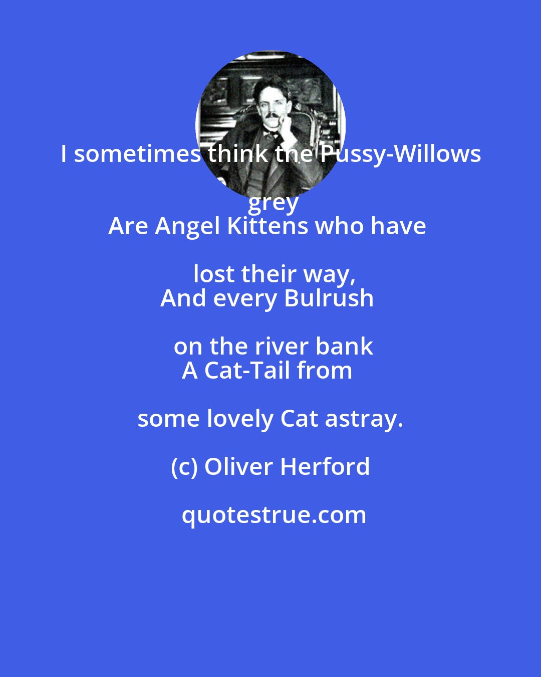 Oliver Herford: I sometimes think the Pussy-Willows grey
Are Angel Kittens who have lost their way,
And every Bulrush on the river bank
A Cat-Tail from some lovely Cat astray.