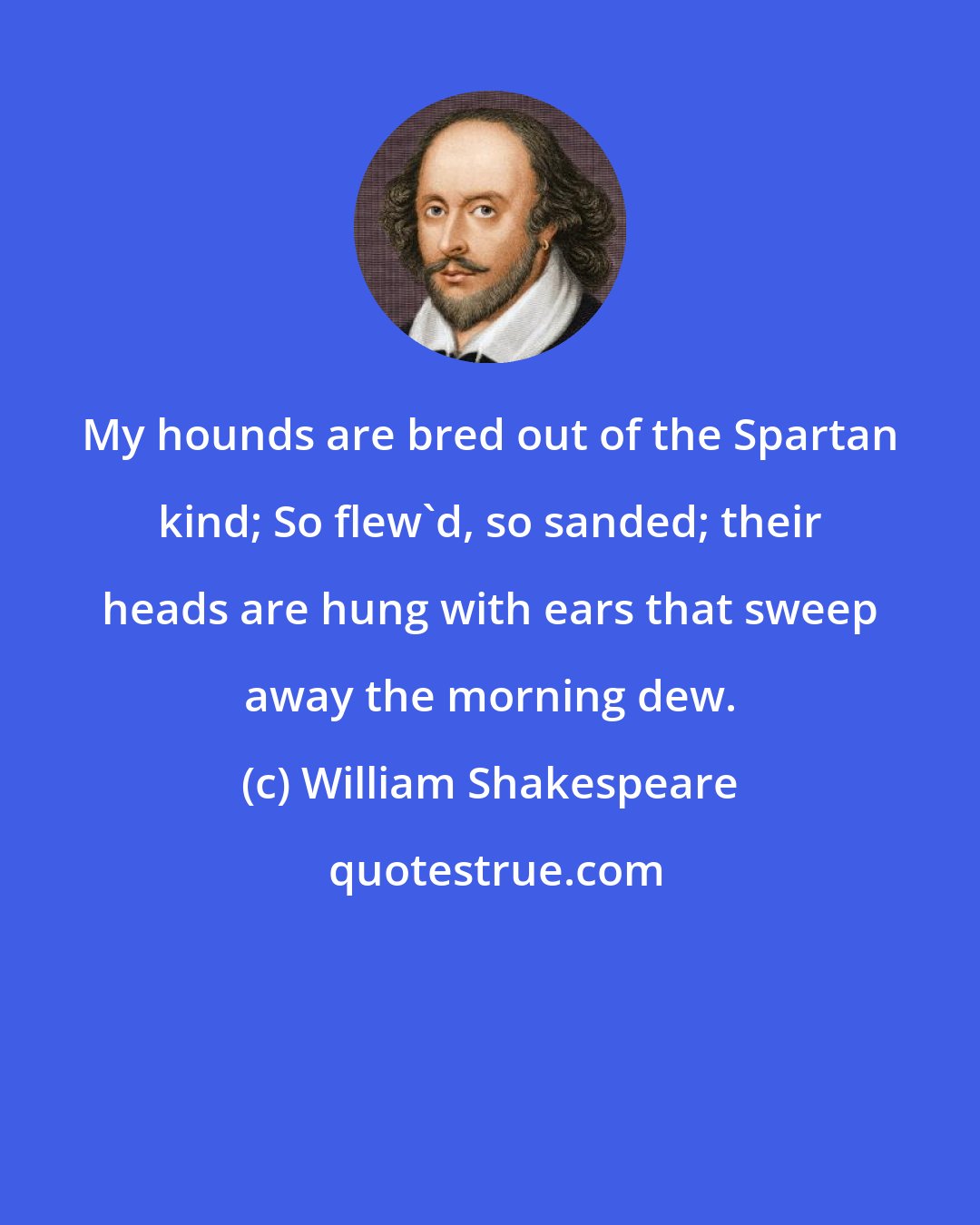 William Shakespeare: My hounds are bred out of the Spartan kind; So flew'd, so sanded; their heads are hung with ears that sweep away the morning dew.