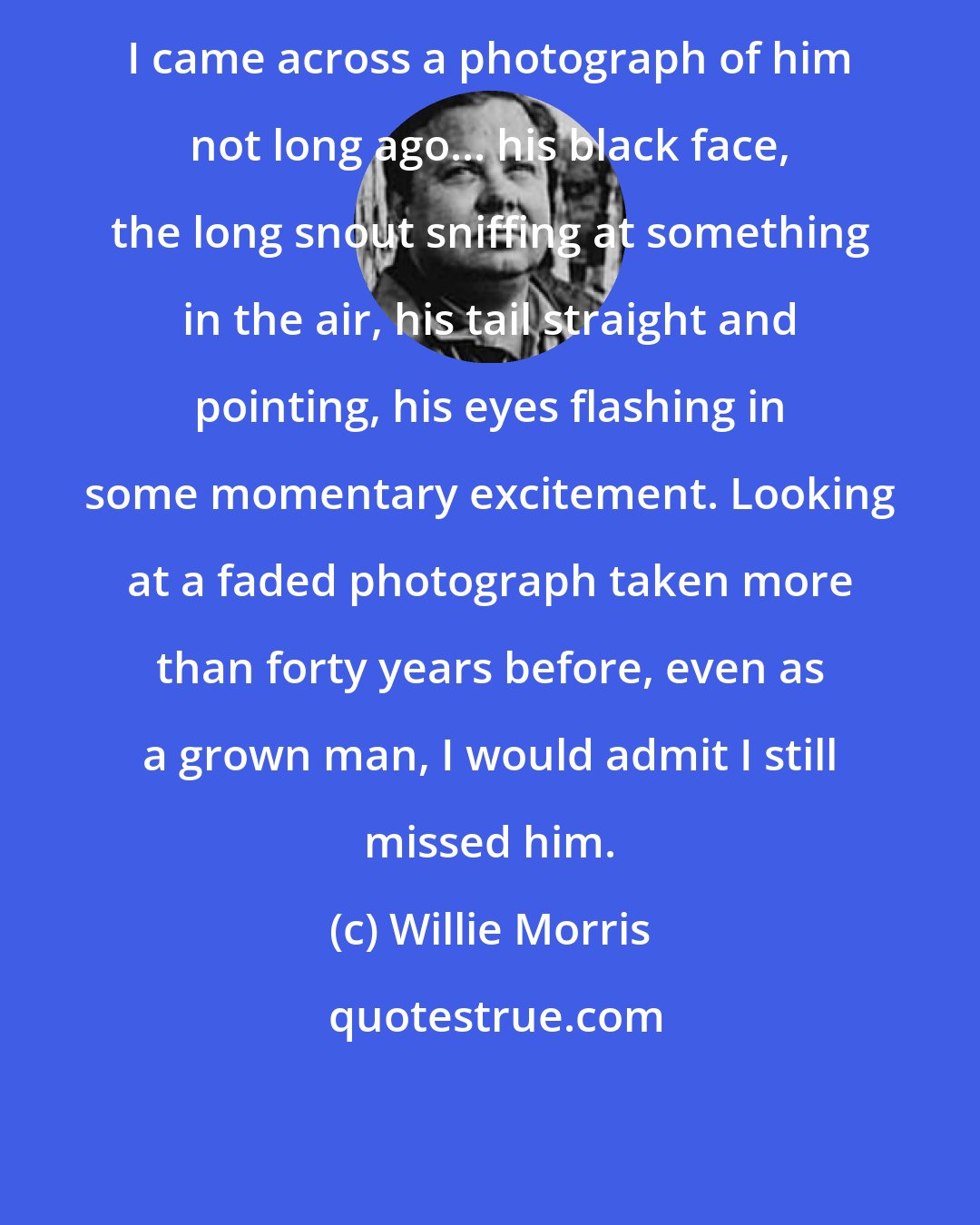 Willie Morris: I came across a photograph of him not long ago... his black face, the long snout sniffing at something in the air, his tail straight and pointing, his eyes flashing in some momentary excitement. Looking at a faded photograph taken more than forty years before, even as a grown man, I would admit I still missed him.