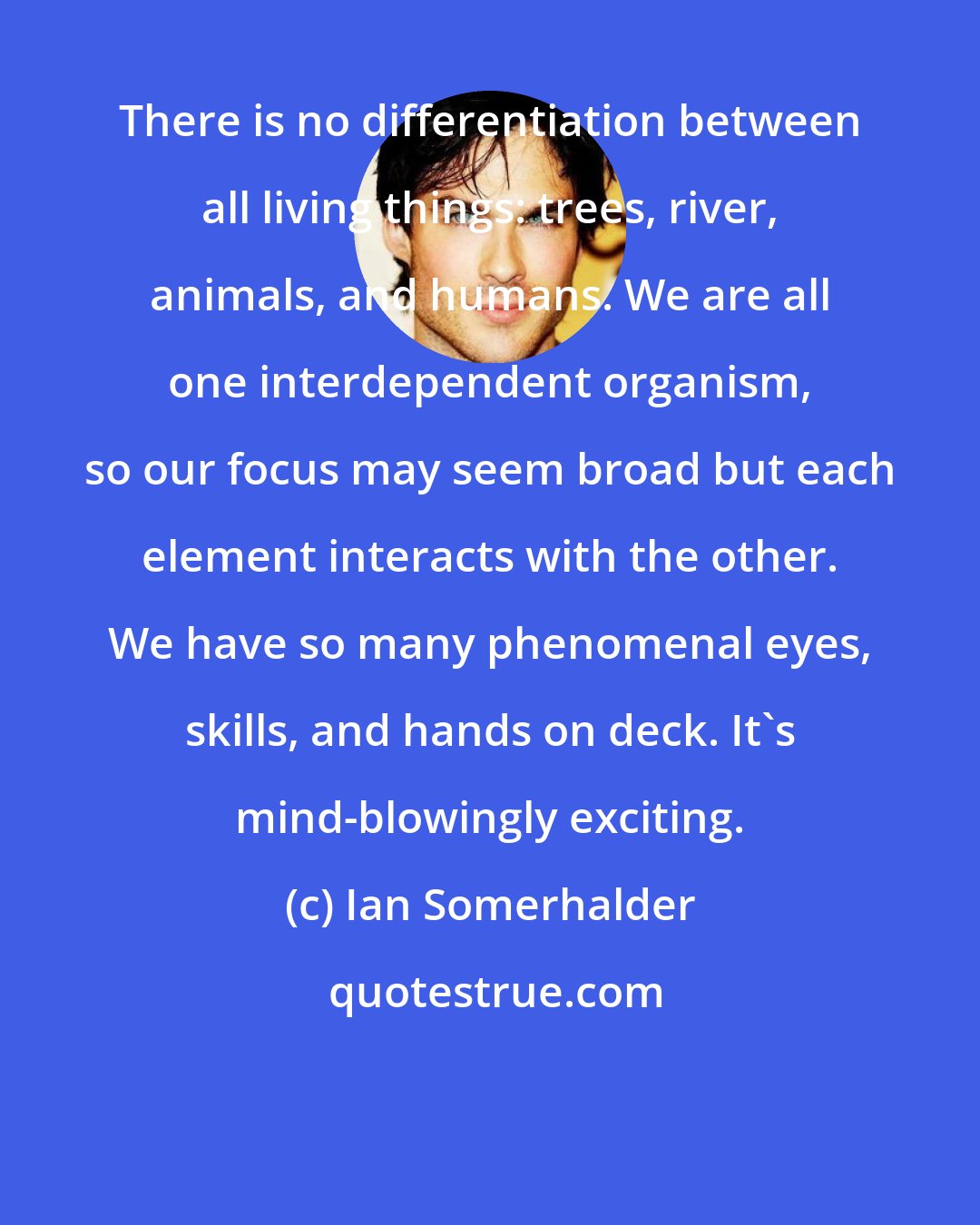 Ian Somerhalder: There is no differentiation between all living things: trees, river, animals, and humans. We are all one interdependent organism, so our focus may seem broad but each element interacts with the other. We have so many phenomenal eyes, skills, and hands on deck. It's mind-blowingly exciting.