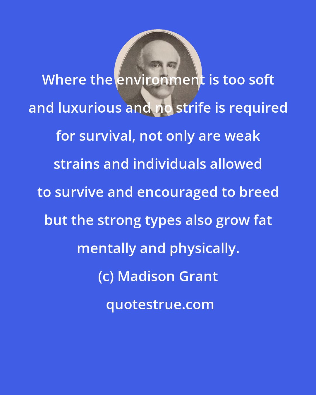 Madison Grant: Where the environment is too soft and luxurious and no strife is required for survival, not only are weak strains and individuals allowed to survive and encouraged to breed but the strong types also grow fat mentally and physically.