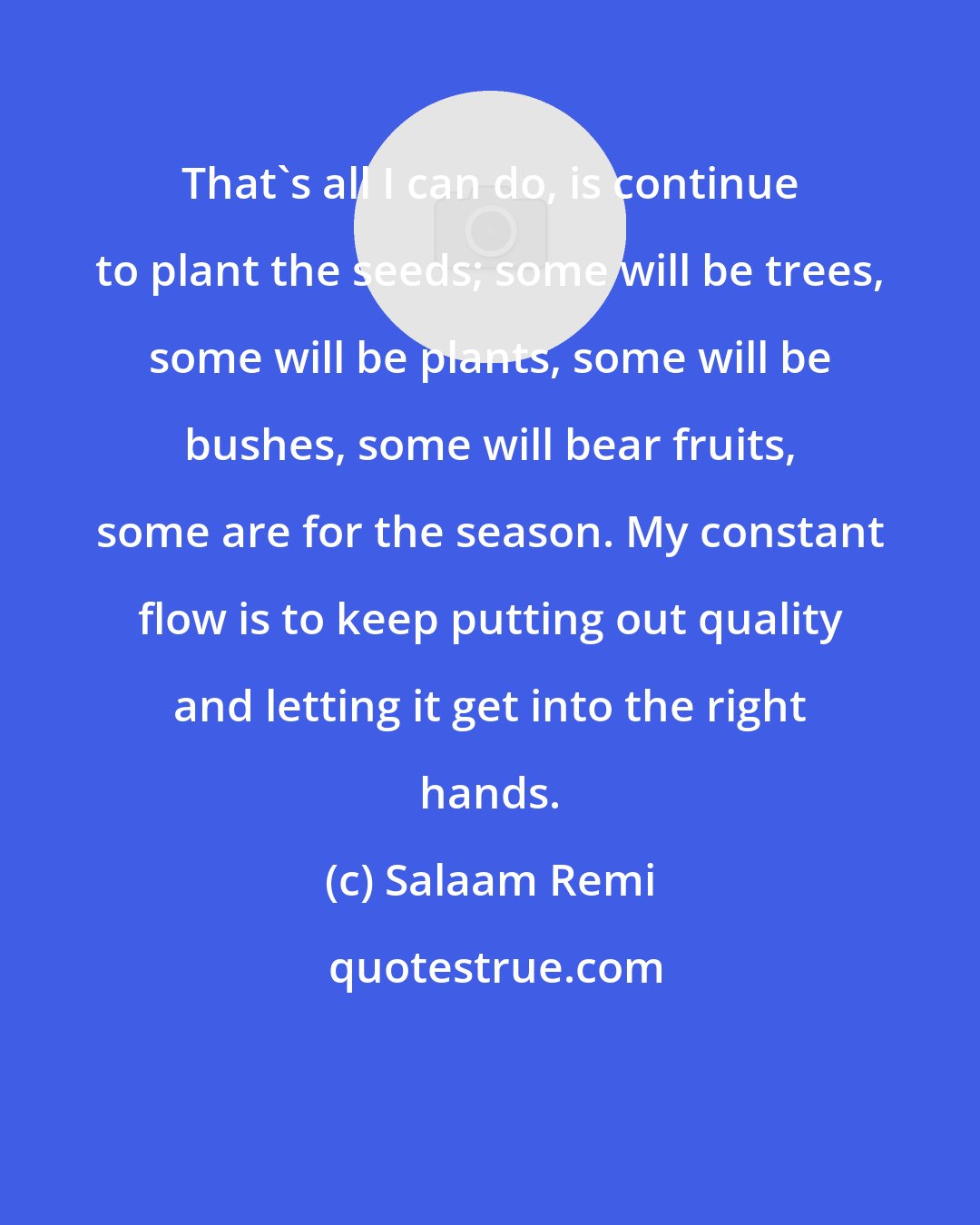 Salaam Remi: That's all I can do, is continue to plant the seeds; some will be trees, some will be plants, some will be bushes, some will bear fruits, some are for the season. My constant flow is to keep putting out quality and letting it get into the right hands.