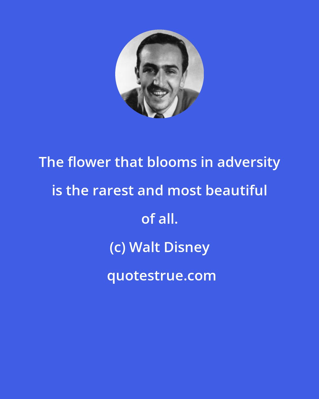 Walt Disney: The flower that blooms in adversity is the rarest and most beautiful of all.
