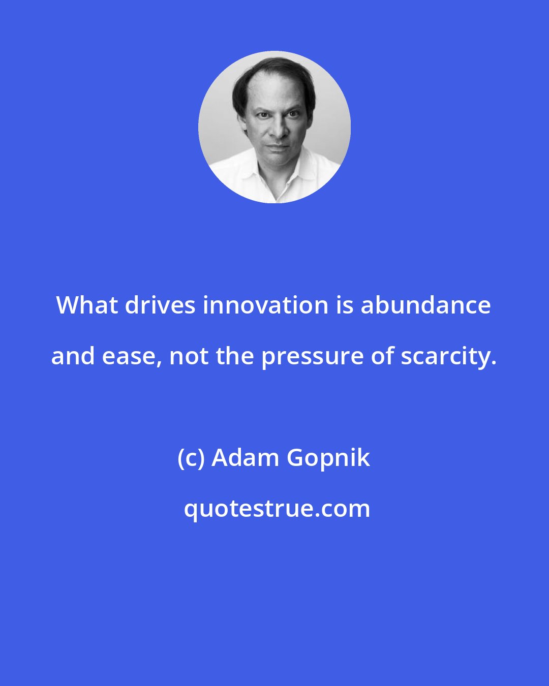 Adam Gopnik: What drives innovation is abundance and ease, not the pressure of scarcity.