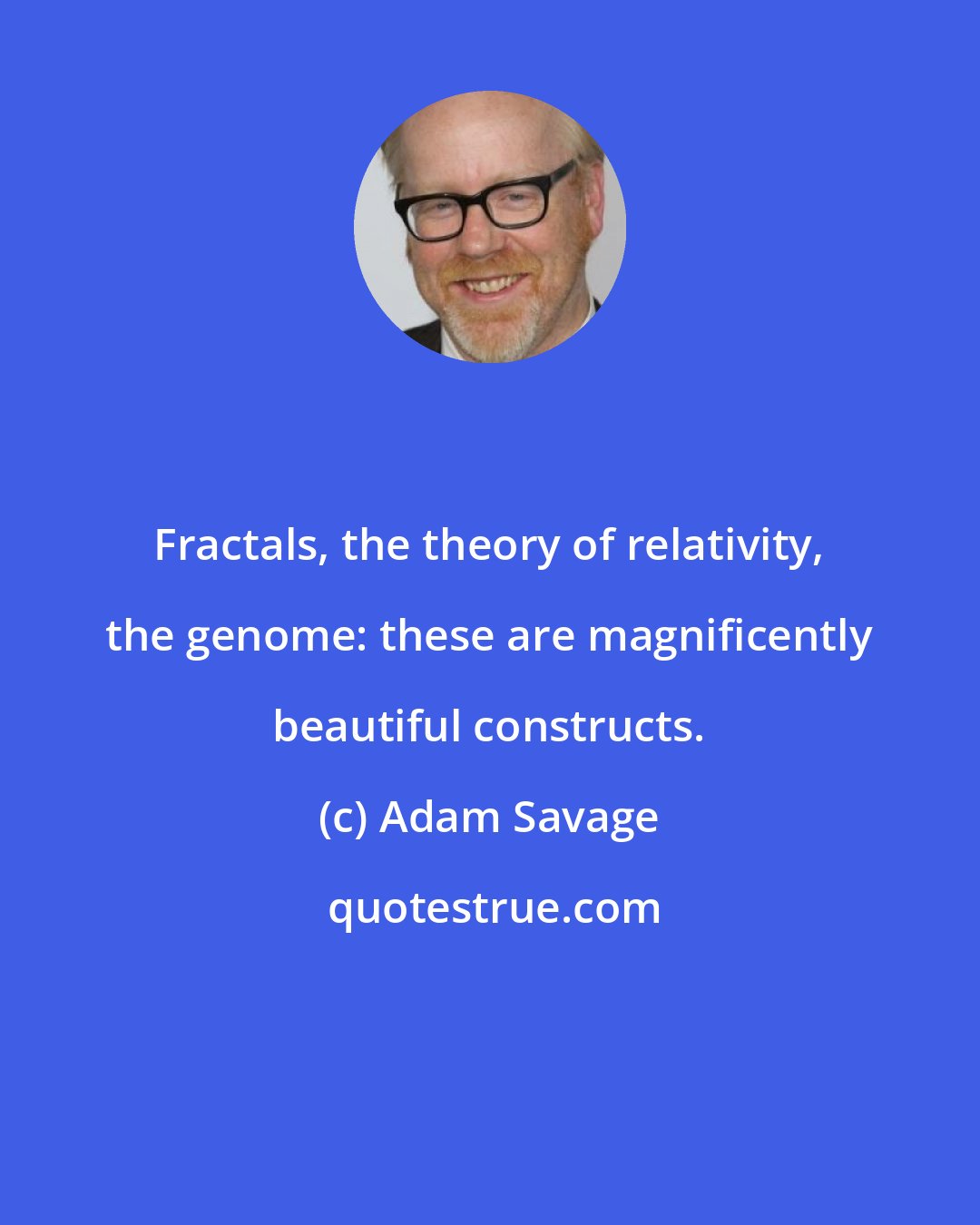Adam Savage: Fractals, the theory of relativity, the genome: these are magnificently beautiful constructs.