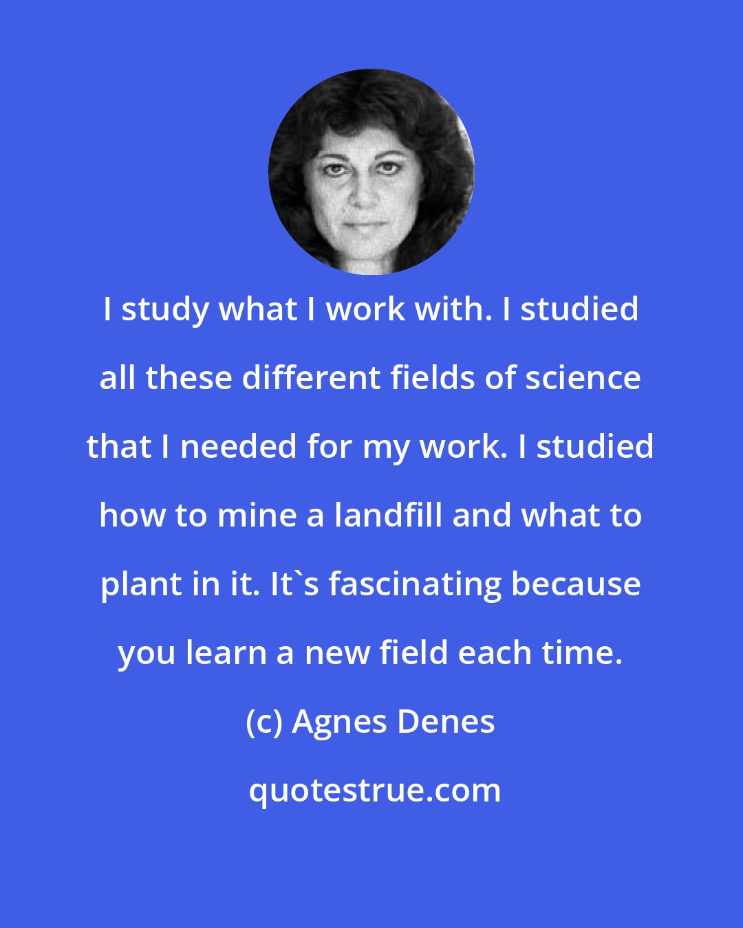 Agnes Denes: I study what I work with. I studied all these different fields of science that I needed for my work. I studied how to mine a landfill and what to plant in it. It's fascinating because you learn a new field each time.
