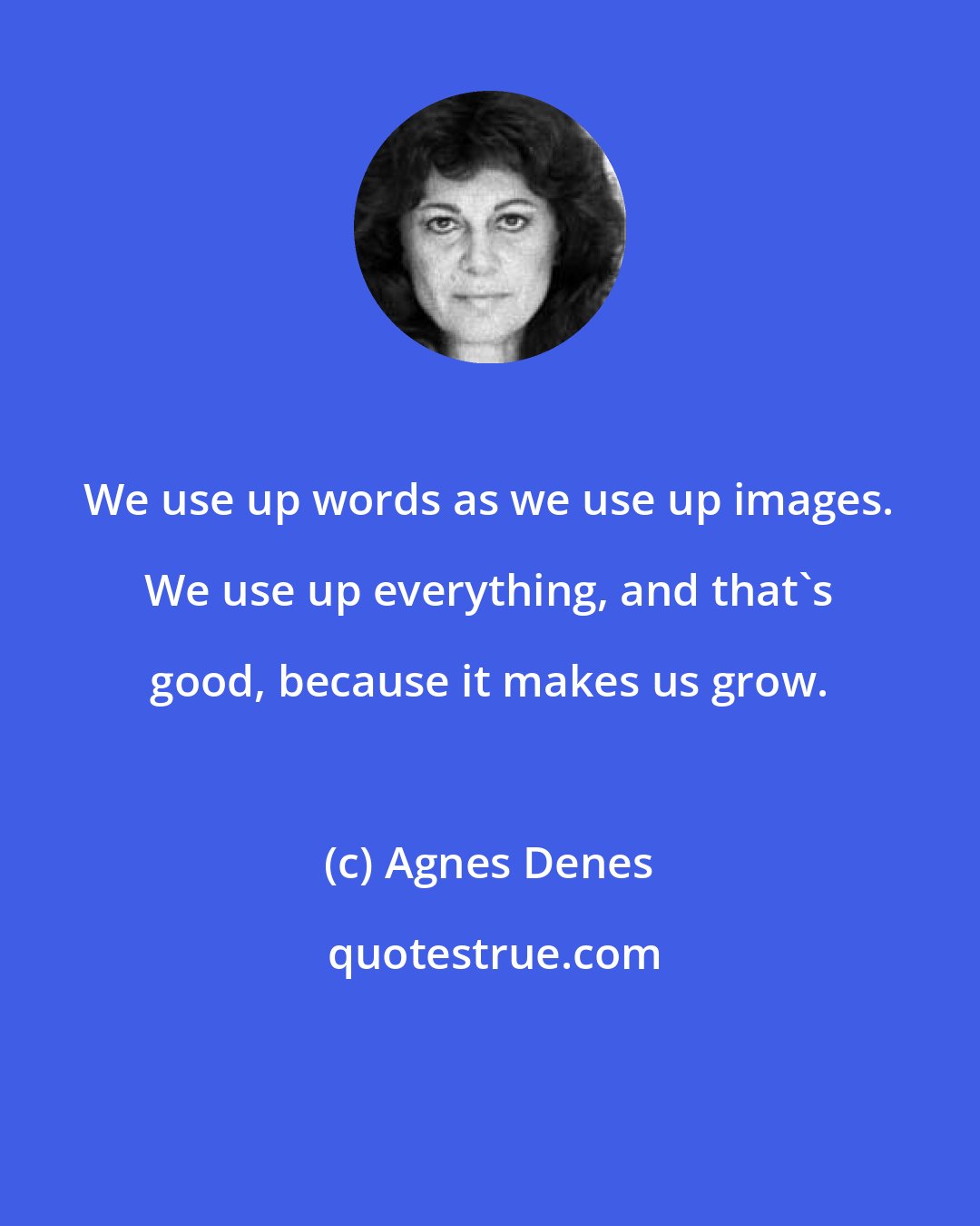 Agnes Denes: We use up words as we use up images. We use up everything, and that's good, because it makes us grow.