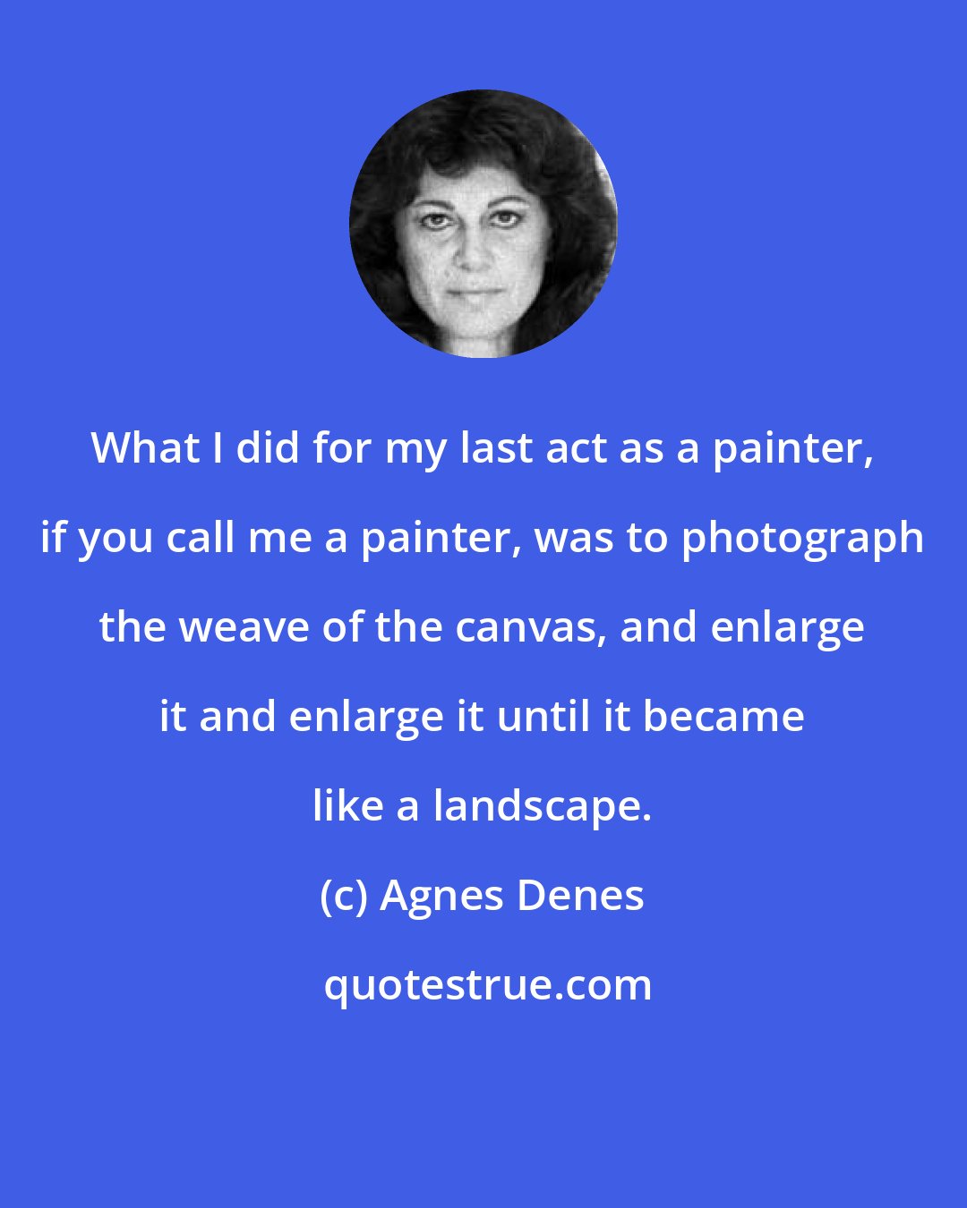 Agnes Denes: What I did for my last act as a painter, if you call me a painter, was to photograph the weave of the canvas, and enlarge it and enlarge it until it became like a landscape.