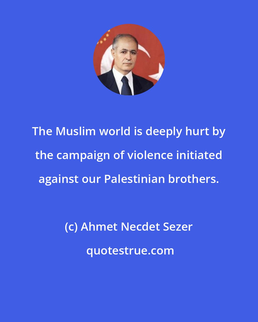 Ahmet Necdet Sezer: The Muslim world is deeply hurt by the campaign of violence initiated against our Palestinian brothers.
