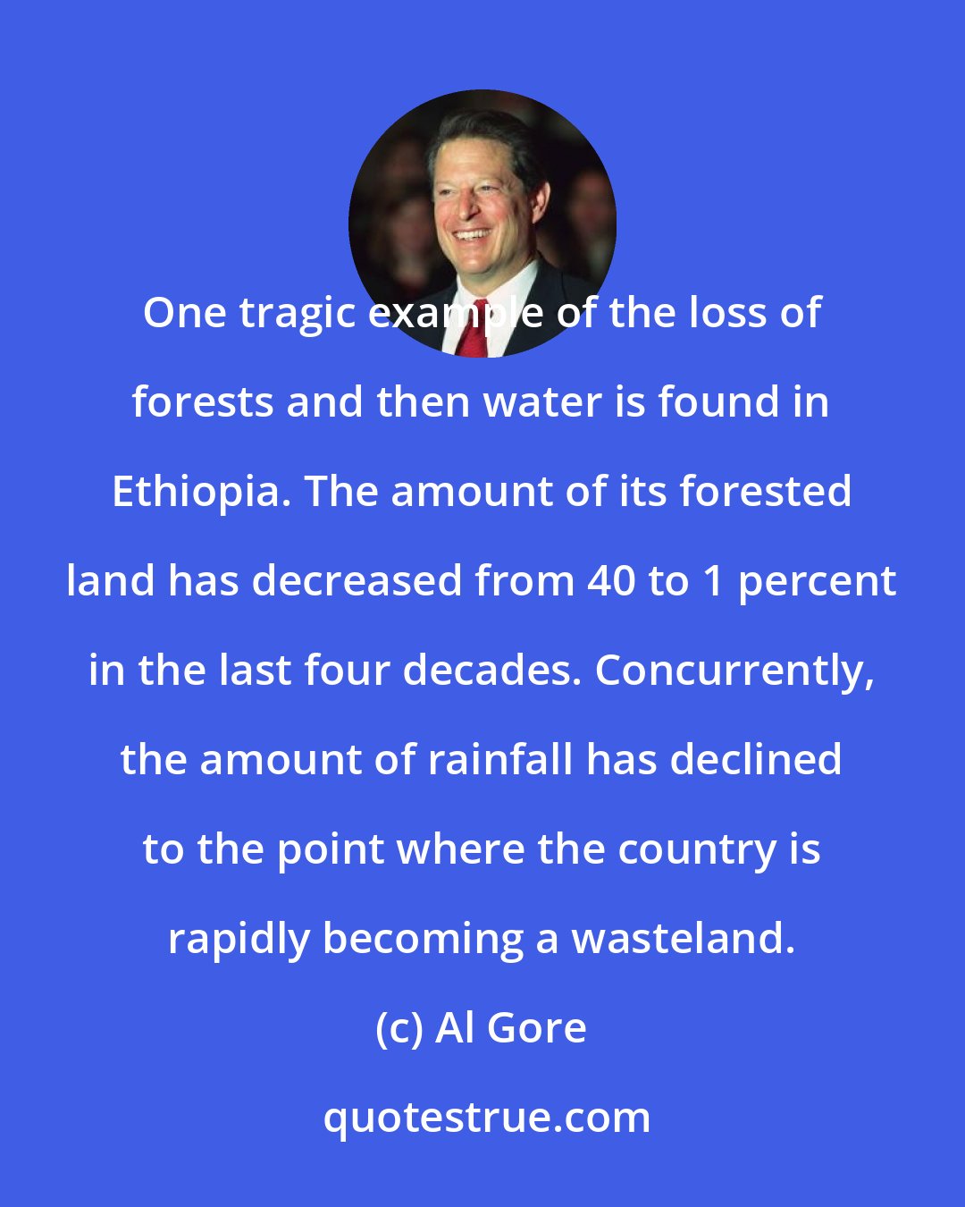 Al Gore: One tragic example of the loss of forests and then water is found in Ethiopia. The amount of its forested land has decreased from 40 to 1 percent in the last four decades. Concurrently, the amount of rainfall has declined to the point where the country is rapidly becoming a wasteland.