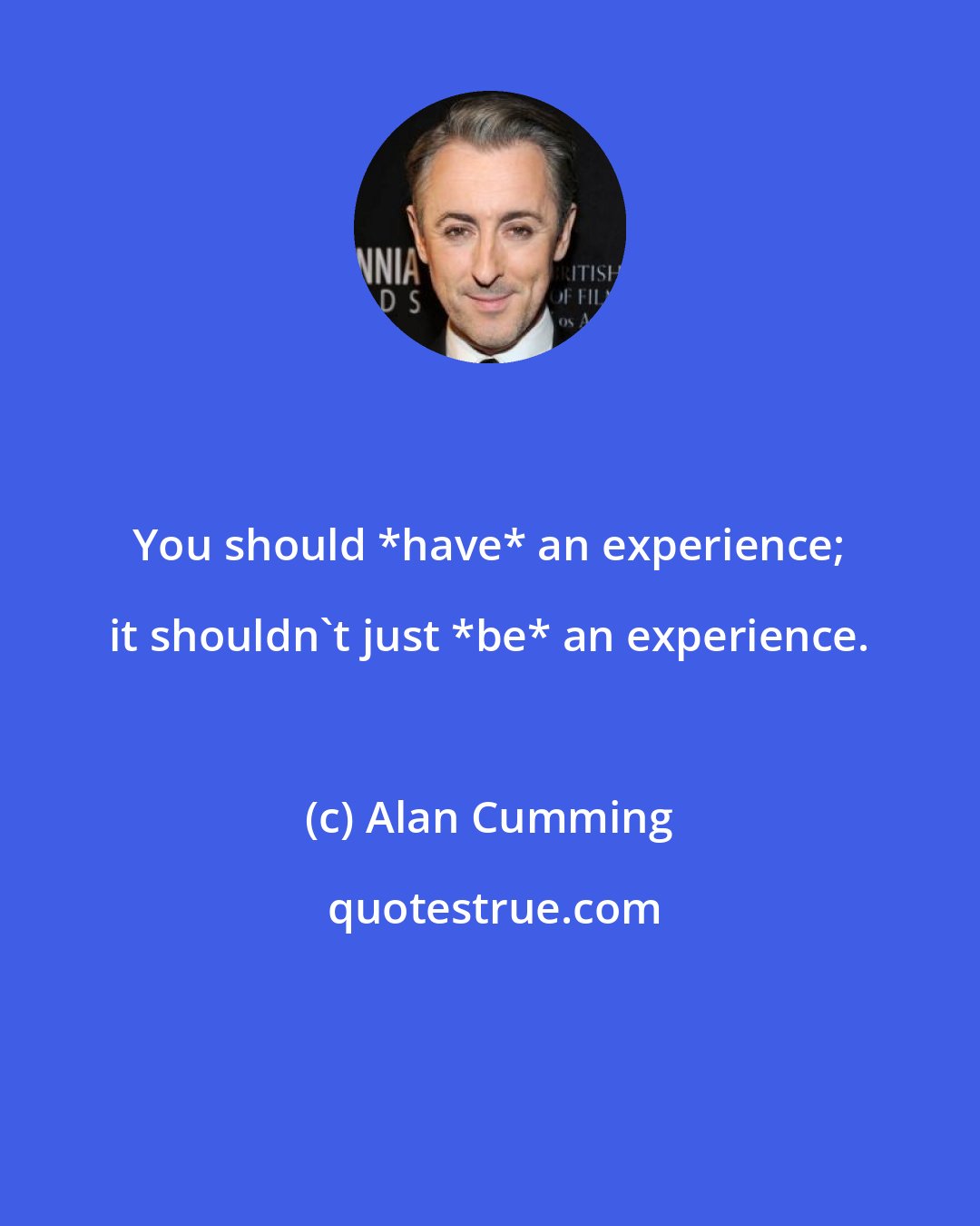 Alan Cumming: You should *have* an experience; it shouldn't just *be* an experience.