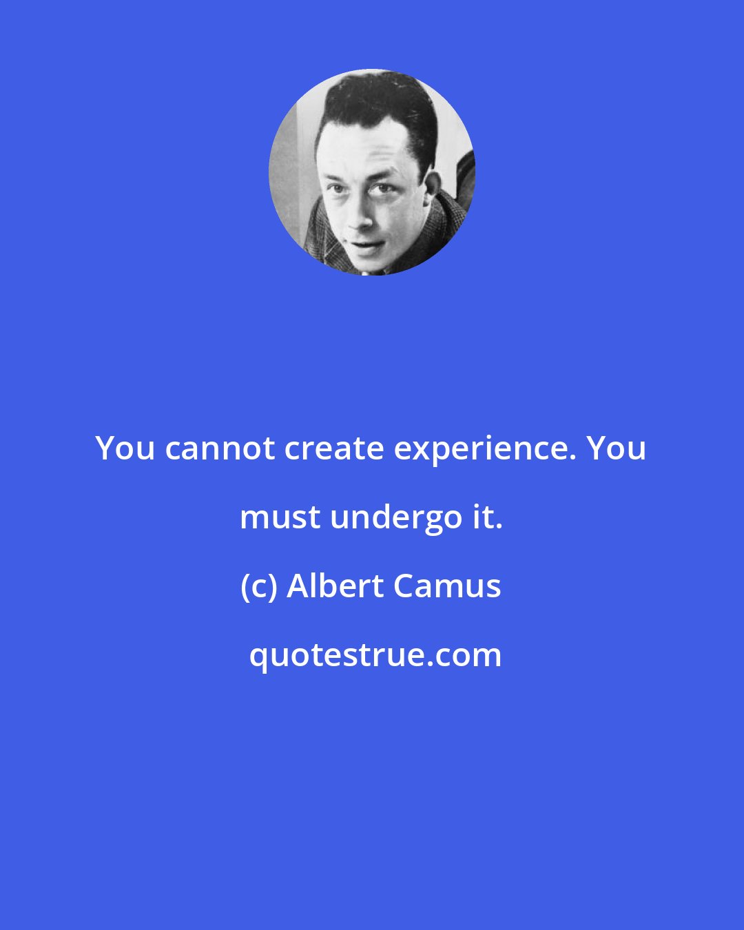 Albert Camus: You cannot create experience. You must undergo it.