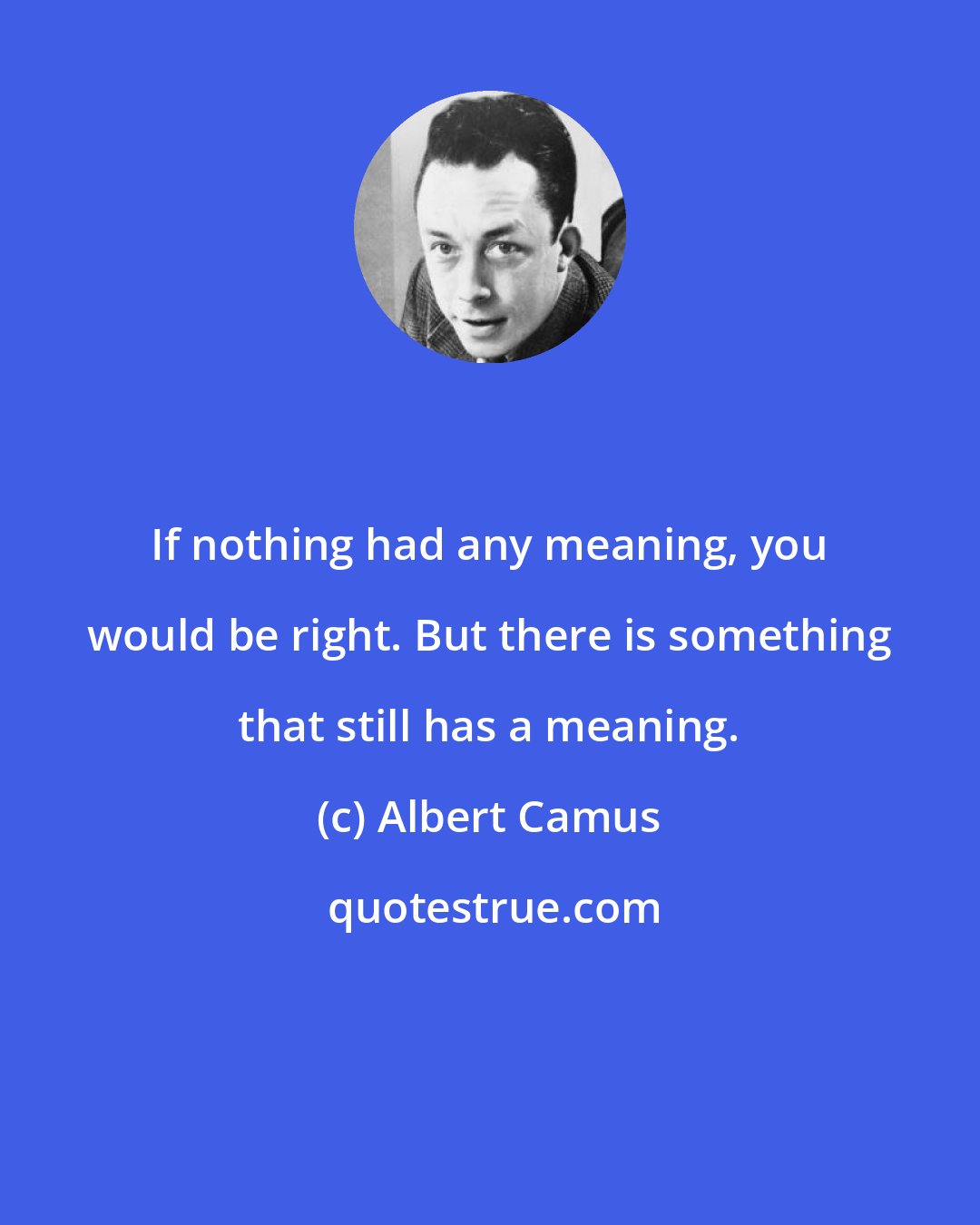 Albert Camus: If nothing had any meaning, you would be right. But there is something that still has a meaning.