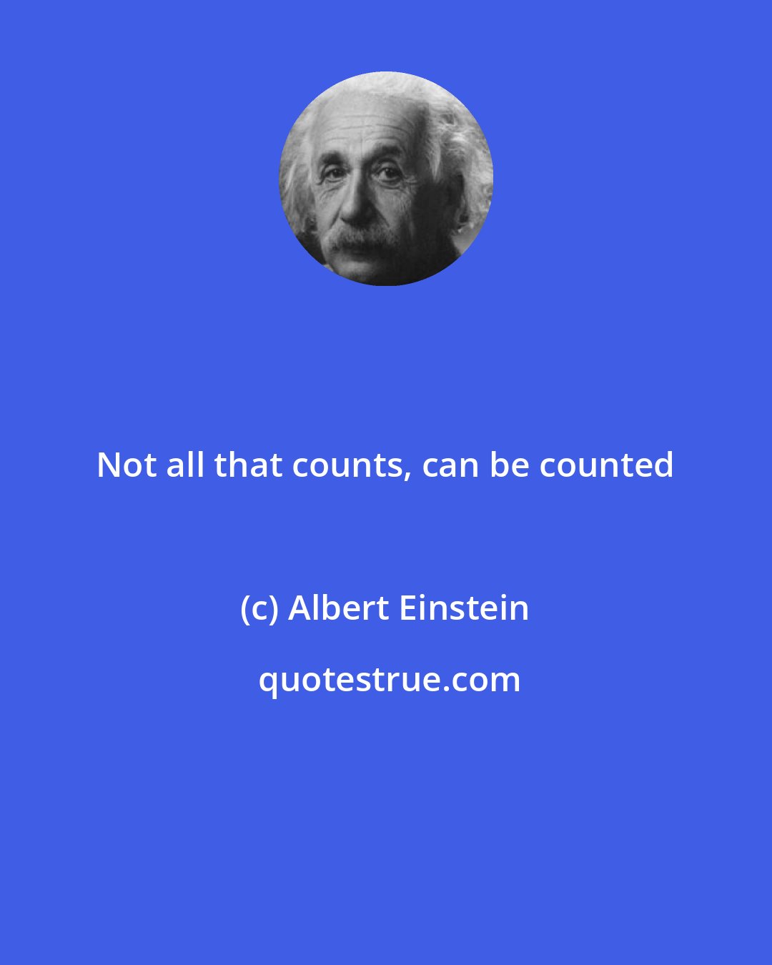 Albert Einstein: Not all that counts, can be counted
