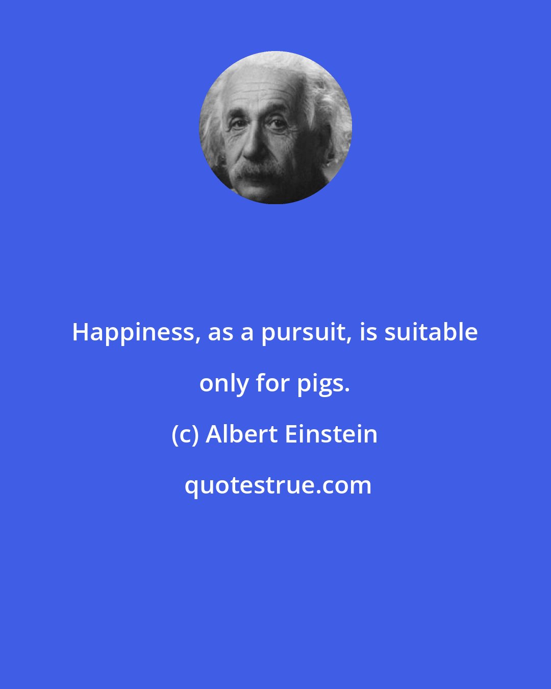 Albert Einstein: Happiness, as a pursuit, is suitable only for pigs.