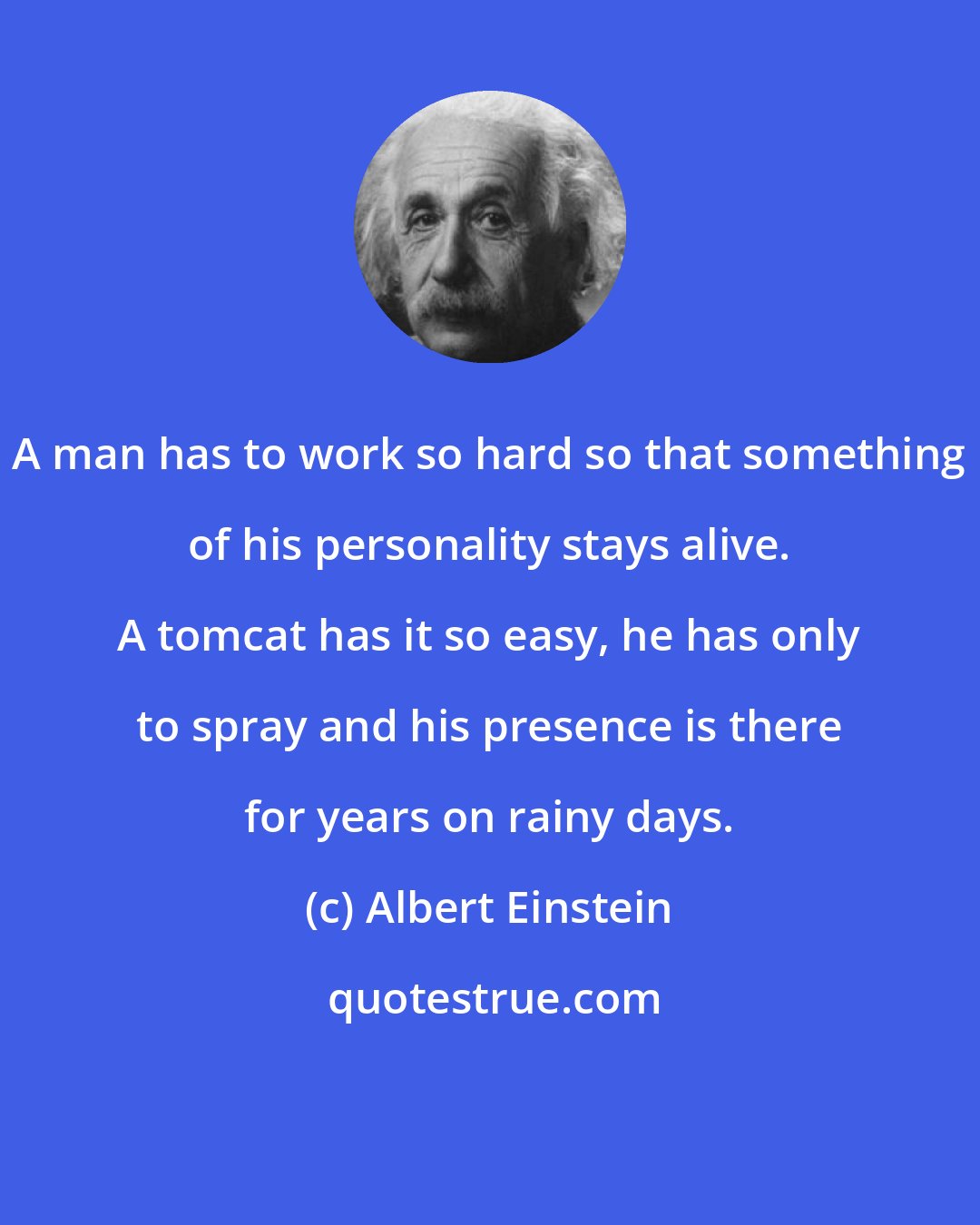 Albert Einstein: A man has to work so hard so that something of his personality stays alive. A tomcat has it so easy, he has only to spray and his presence is there for years on rainy days.